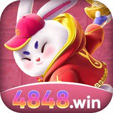 4848win Premium BR v5.9.3