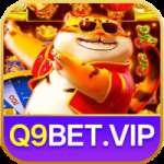 q9bet Max Brasil