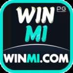 winmi Money Pro v2.1.1