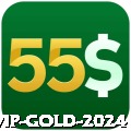 contavip Gold 2024
